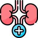 Costo consulta nefrologo en pachuca