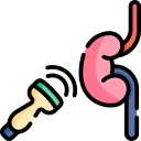 Ultrasonido nefrologia en pachuca